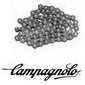 Campagnolo chains